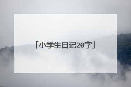 小学生日记20字