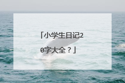 小学生日记20字大全？