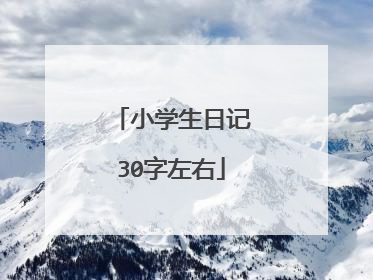 小学生日记30字左右