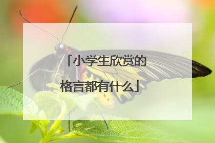 小学生欣赏的格言都有什么