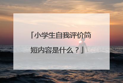 小学生自我评价简短内容是什么？