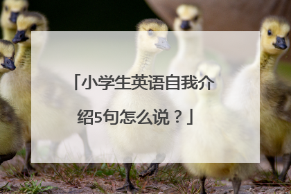 小学生英语自我介绍5句怎么说？