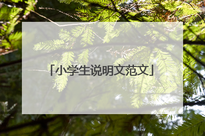 小学生说明文范文