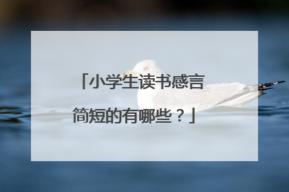 小学生读书感言简短的有哪些？