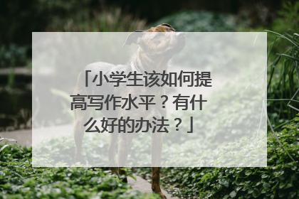 小学生该如何提高写作水平？有什么好的办法？