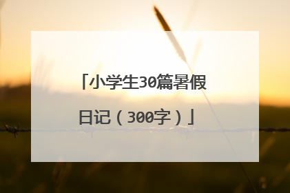 小学生30篇暑假日记（300字）