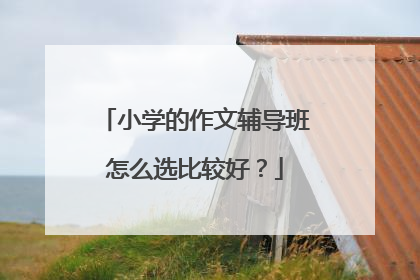 小学的作文辅导班怎么选比较好?