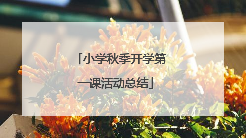 小学秋季开学第一课活动总结