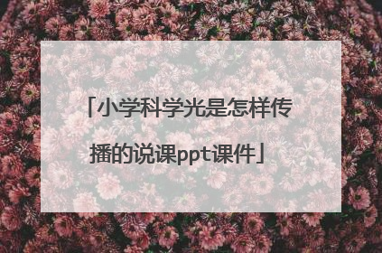 小学科学光是怎样传播的说课ppt课件