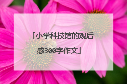 小学科技馆的观后感300字作文