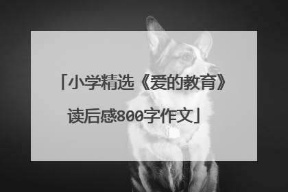 小学精选《爱的教育》读后感800字作文
