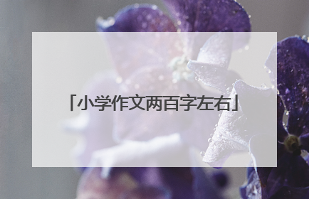 小学作文两百字左右