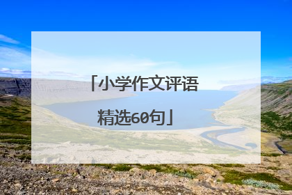 小学作文评语精选60句