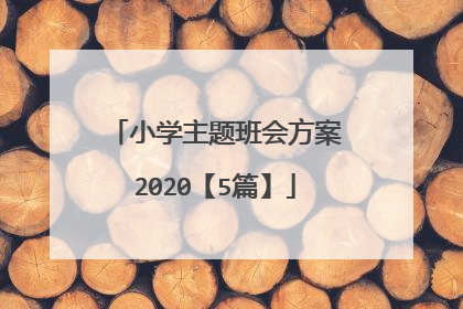 小学主题班会方案2020【5篇】