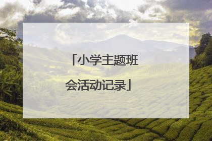 小学主题班会活动记录
