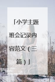 小学主题班会记录内容范文（三篇）