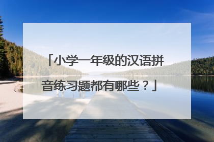 小学一年级的汉语拼音练习题都有哪些？