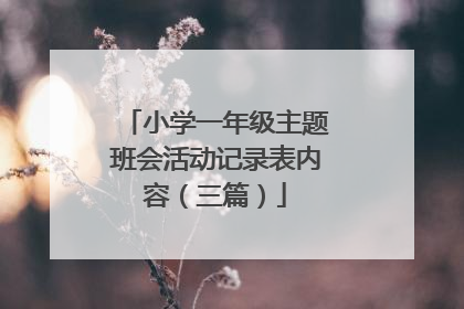 小学一年级主题班会活动记录表内容(三篇)