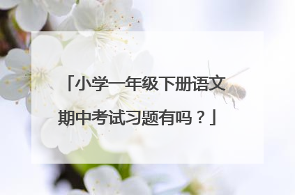 小学一年级下册语文期中考试习题有吗？