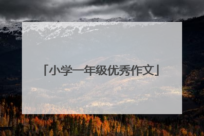 小学一年级优秀作文