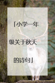 小学一年级关于秋天的诗句