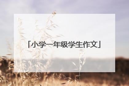 小学一年级学生作文
