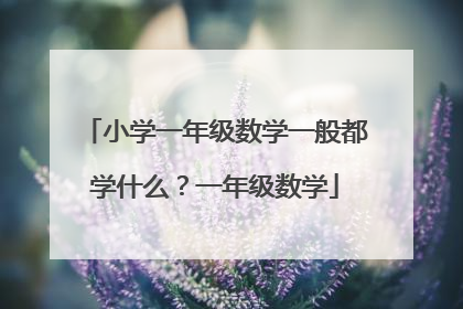 小学一年级数学一般都学什么？一年级数学