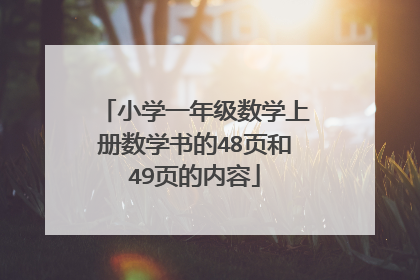 小学一年级数学上册数学书的48页和49页的内容