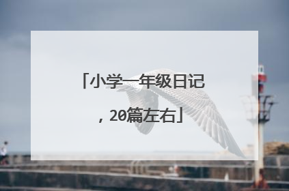 小学一年级日记，20篇左右