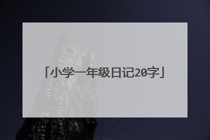 小学一年级日记20字