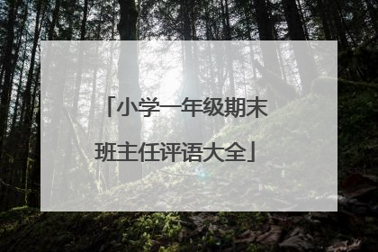 小学一年级期末班主任评语大全