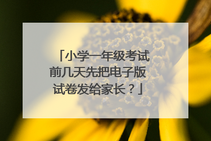 小学一年级考试前几天先把电子版试卷发给家长？