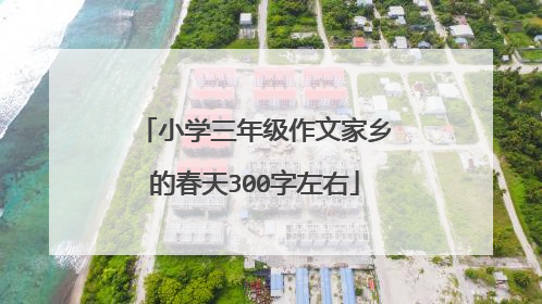 小学三年级作文家乡的春天300字左右