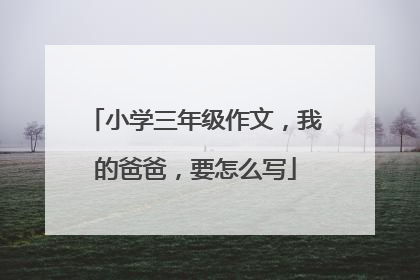 小学三年级作文，我的爸爸，要怎么写