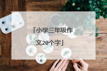 小学三年级作文20个字