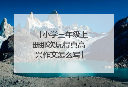 小学三年级上册那次玩得真高兴作文怎么写