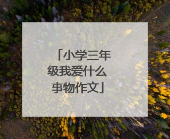 小学三年级我爱什么事物作文