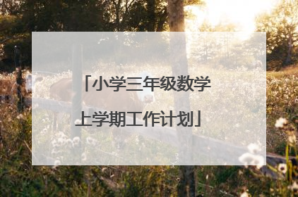 小学三年级数学上学期工作计划