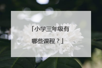 小学三年级有哪些课程？