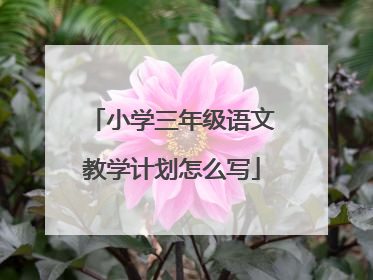 小学三年级语文教学计划怎么写