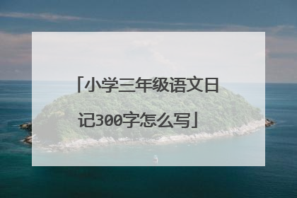 小学三年级语文日记300字怎么写