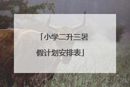 小学二升三暑假计划安排表