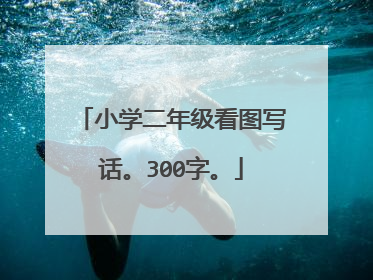 小学二年级看图写话。300字。