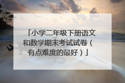 小学二年级下册语文和数学期末考试试卷(有点难度的最好)