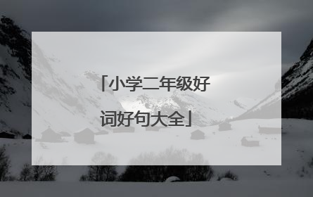 小学二年级好词好句大全