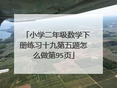 小学二年级数学下册练习十九第五题怎么做第95页