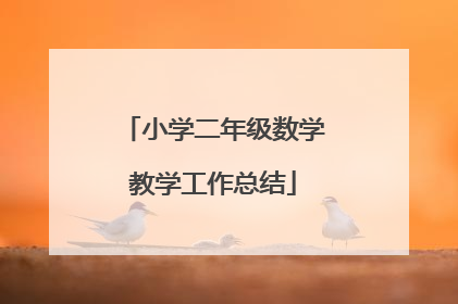 小学二年级数学教学工作总结