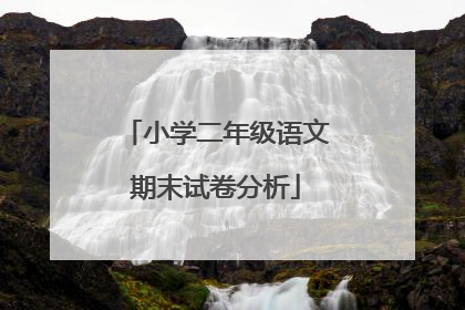 小学二年级语文期末试卷分析