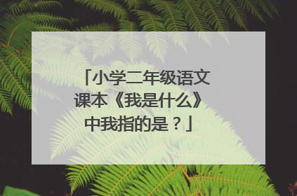 小学二年级语文课本《我是什么》中我指的是?