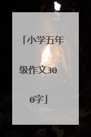 小学五年级作文300字